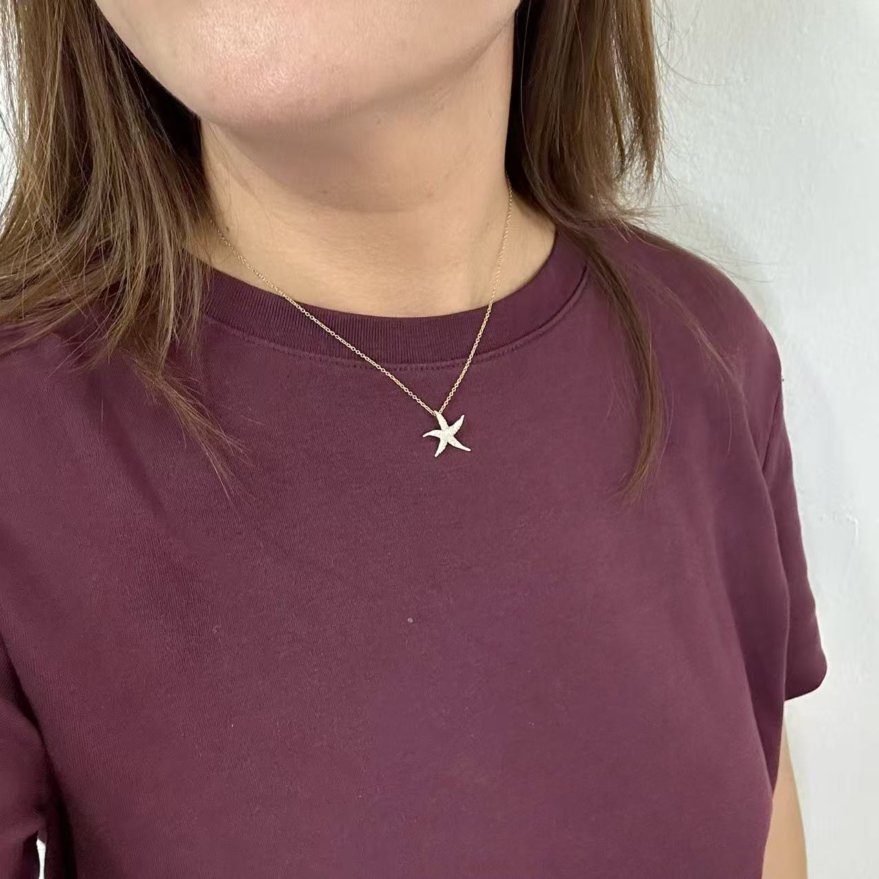 (C292)Collana stella chevalier