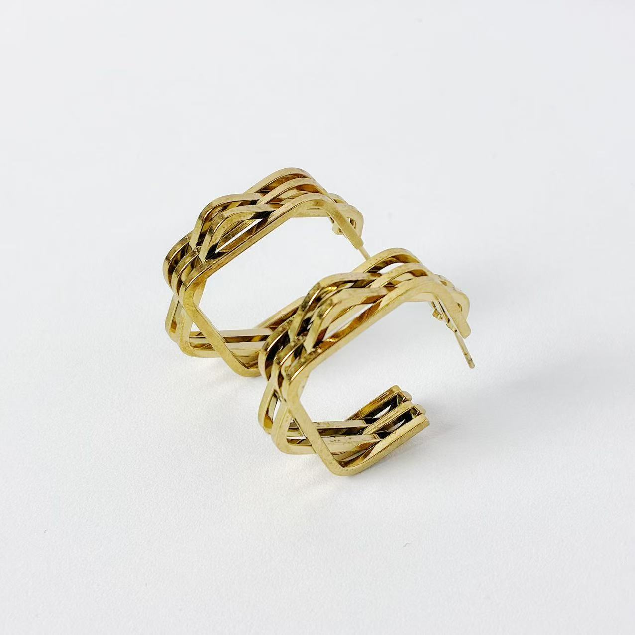 Orecchini Intreccio di Luce