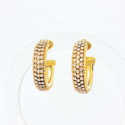 Cerchi Brillanti con Dettagli Preziosi – Eleganza Scintillante